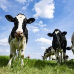 5b7d1f1de6b03a0da83b992792b0d90ade9d4cfea325187bf21c1b3d508d4d44-768x498