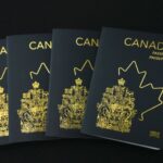 8c248c8c8e84d54d7f9bfbd12b5649f4bf1cdb3df8492ecf09dbee189645599b-768x512 (1)